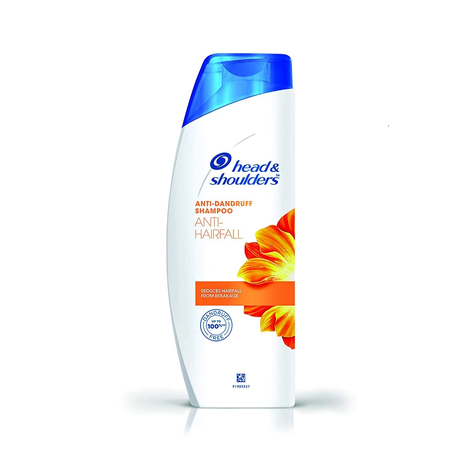 Head &amp; Shoulders Anti Dandruff &amp; Hairfall-