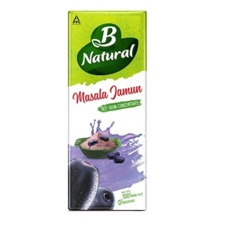B Natural Juice Masala Jamun