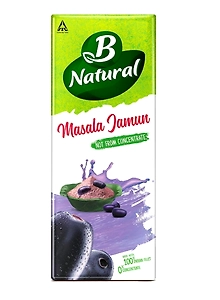 B Natural Juice Masala Jamun