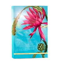 Tejasvi Brightening & Lightening Sheet Mask