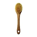 Long Handled Cactus Bath Brush--sm