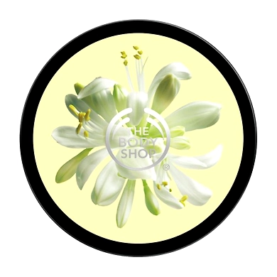 Moringa Body Butter-