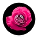 British Rose Body Butter--sm