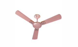 ENTICER ART COLLECTOR EDITION
1200 mm FAN ENTICER ART COL. ED. R.GOLD