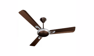Areole
1200 mm sweep Pearl Brown - Silver