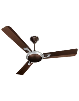 Areole
1200 mm sweep Pearl Brown - Silver