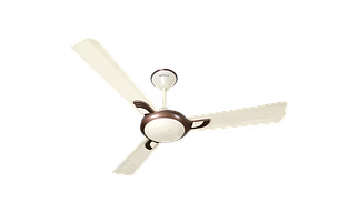 Areole
1200 mm sweep Pearl Ivory - Brown