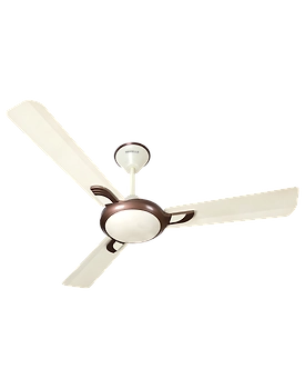 Areole
1200 mm sweep Pearl Ivory - Brown