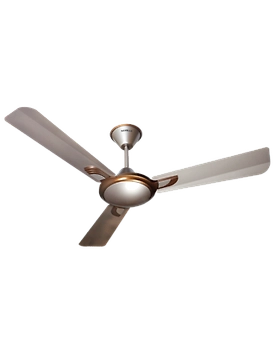Areole
1200 mm sweep Mist Honey