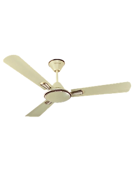 Festiva
1200 mm sweep Pearl Ivory-Gold