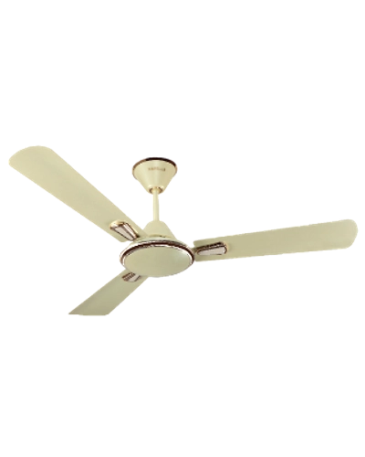Festiva
1200 mm sweep Pearl Ivory-Gold-