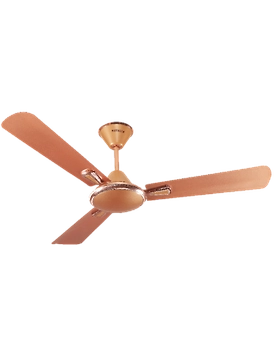 Festiva
1200 mm sweep Pearl Copper-Gold
