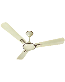 Furia
1200 mm sweep Pearl Ivory