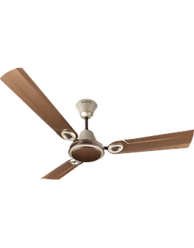 Joy
1200 mm Pearl Brown Gold