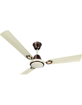 Joy
1200 mm Pearl Ivory Pearl Brown