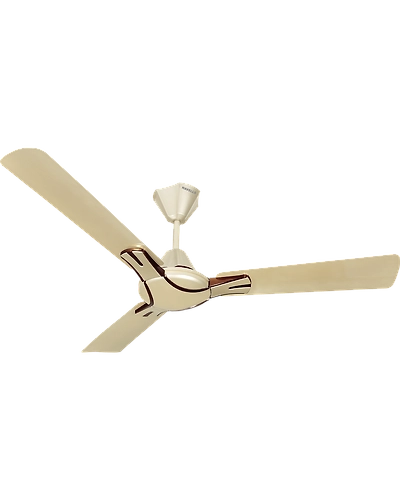 Nicola
1200 mm sweep Gold Mist-Copper-
