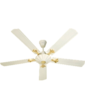 Pentaforce
1320 mm sweep Rainbow Pearl Ivory
