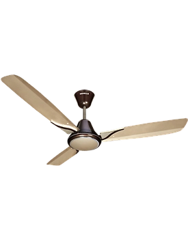 Spartz
1200 mm sweep Gold Mist Pearl Brown