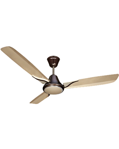 Spartz
1200 mm sweep Gold Mist Pearl Brown-