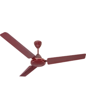 Pacer
1200 mm sweep Brown