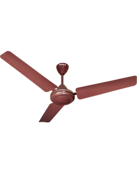 Velocity
900 mm sweep Brown