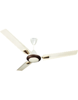Vogue Plus
1200 mm sweep Ivory Pearl Brown
