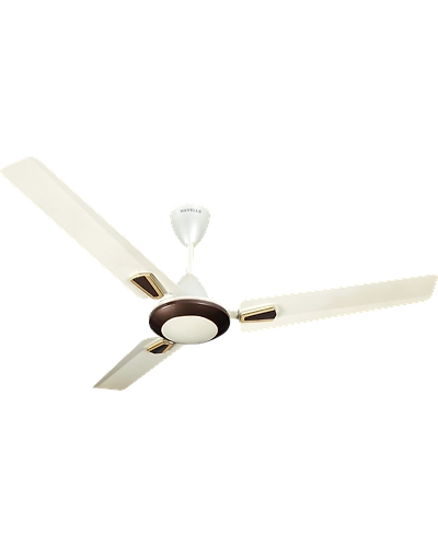 Vogue Plus
1200 mm sweep Ivory Pearl Brown-