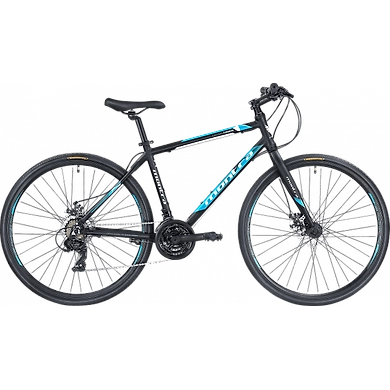 Montra Downtown 2019 Carbon Black with Space Blue Graphics-