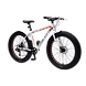 Marlin Fatbikes- Rock Rider ST--sm