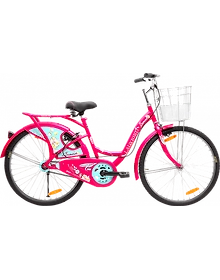 BSA Ladybird Summer ASC