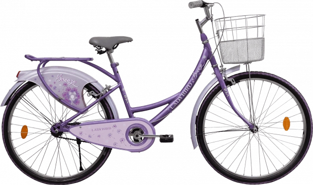 Bsa breeze cycle on sale