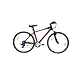 FireFox Road Runner Pro-V 21S 19.5T--sm