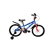 FireFox Flytron 20 9.5T--sm