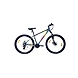 FireFox Bronco 27.5D 16.5T--sm