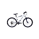 FireFox Target 21 Speed 19.5T--sm