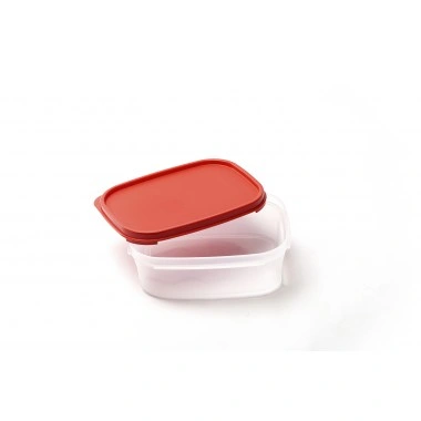 Container Rectangular (850ml) SALAD BOX-