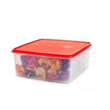 Signoraware Square Plastic Container, 11 Litres/210mm-