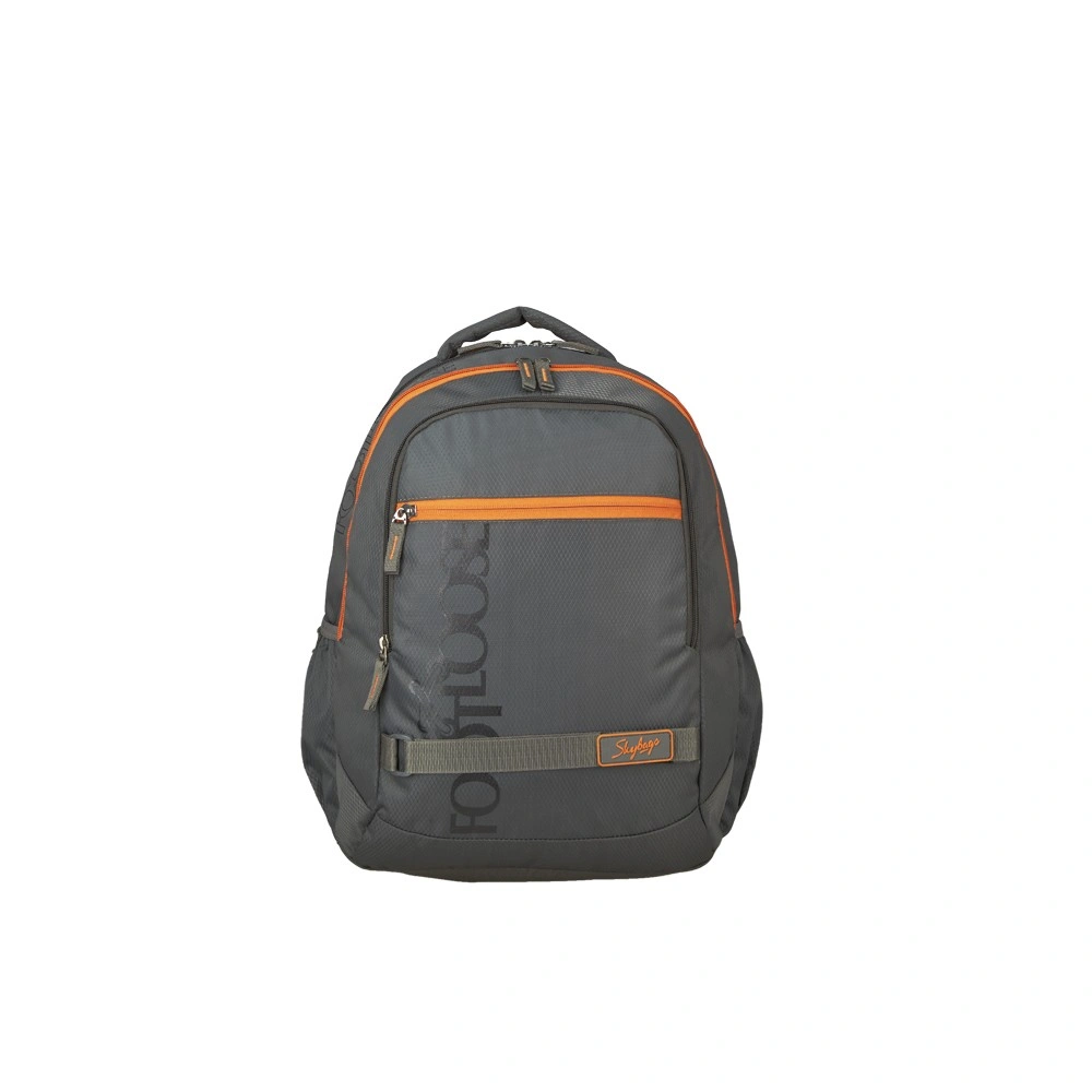 TAZ 1 BACKPACK GREY_1-