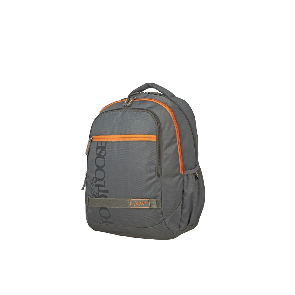 TAZ 1 BACKPACK GREY_1-1