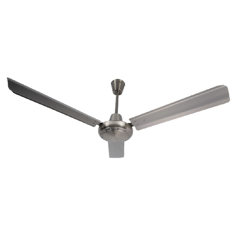 Coastal Ceiling Fans-