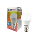 9W ECO LED Bulb--sm
