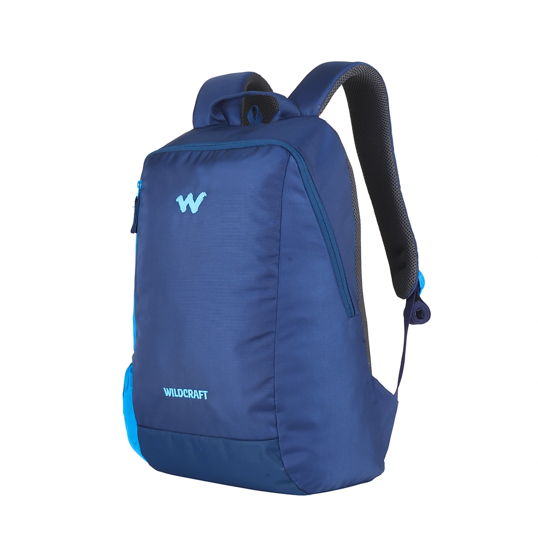 Streak Laptop Backpack With Internal Organizer _ Blue-1-1