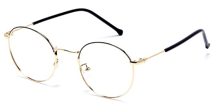 GRAVIATE by Coolwinks E25A5990 Glossy Gold Full Frame Round Eyeglasses for Men and Women-GOLD-1