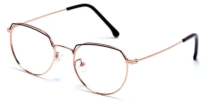 GRAVIATE by Coolwinks E25A6022 Glossy Gold Full Frame Round Eyeglasses for Men and Women-GOLD-1