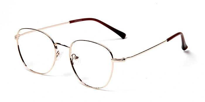 GRAVIATE by Coolwinks E25B5715 Glossy Gold Full Frame Round Eyeglasses for Men and Women-GOLD-1