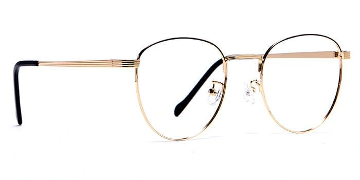 GRAVIATE by Coolwinks E25B6032 Glossy Gold Full Frame Round Eyeglasses for Men and Women-GOLD-2