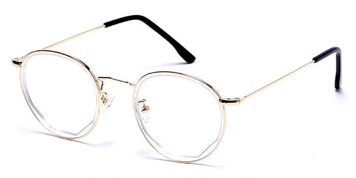 GRAVIATE by Coolwinks E25C6042 Glossy Gold Full Frame Round Computer Glasses for Men and Women-GOLD-1