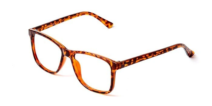 GRAVIATE by Coolwinks E18C5698 Glossy Tortoise Full Frame Retro Square Eyeglasses for Men and Women-TORTOISE-1