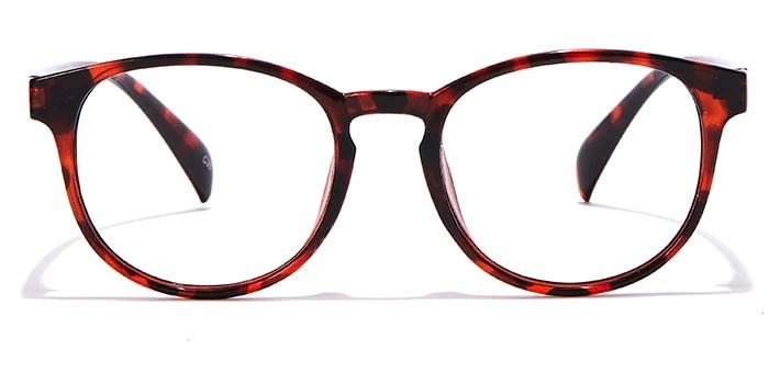 GRAVIATE by Coolwinks E18B6998 Glossy Tortoise Full Frame Round Eyeglasses for Men and Women-