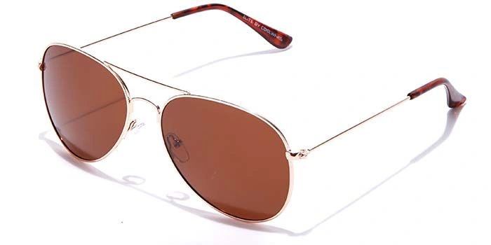 ELITE by Coolwinks S15C5628 Brown Polarized Pilot Sunglasses for Men and Women-BROWN-1